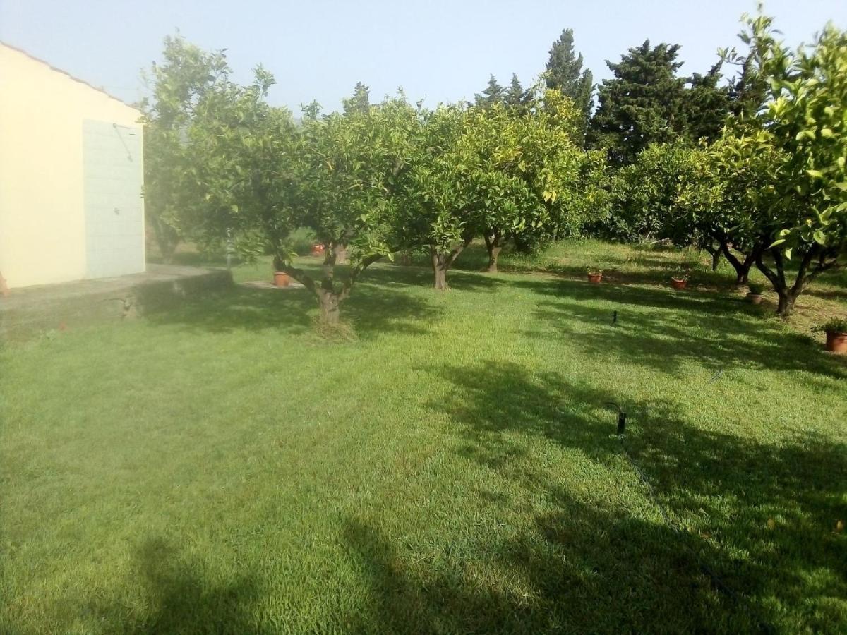 Appartamento In Orosei In Villa Delle Arance 300Mt Dalla Spiaggia Exteriér fotografie
